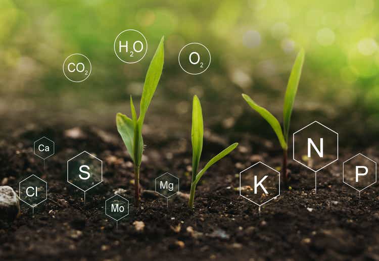 Fertilization and the role of nutrients in plant life.  Soil with digital mineral nutrients icon.