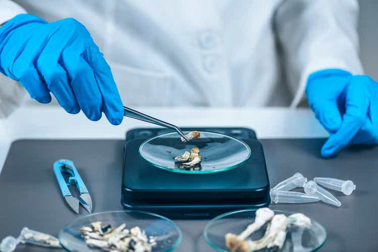 Measuring Psilocybin Magic Mushroom Micro Doses in Laboratory for A Scientific Experiment