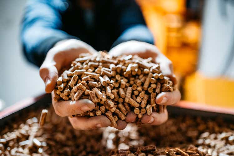 Wood pellets in hands