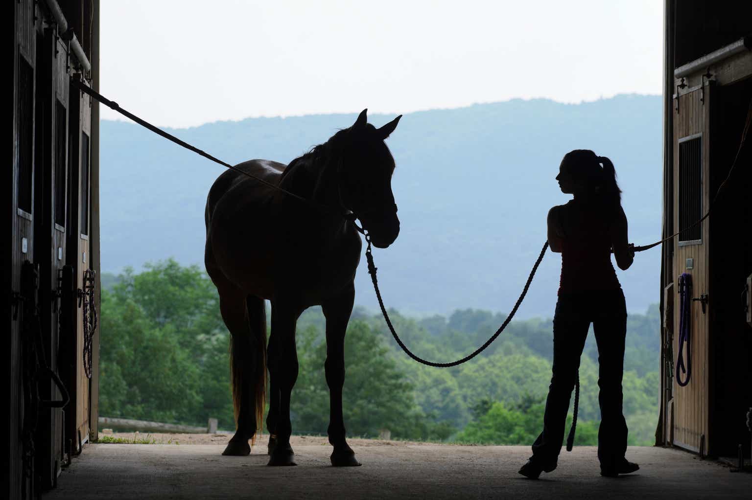 Calumet Specialty's Flexible And Lucrative Vision Opens A Barn Sized ...