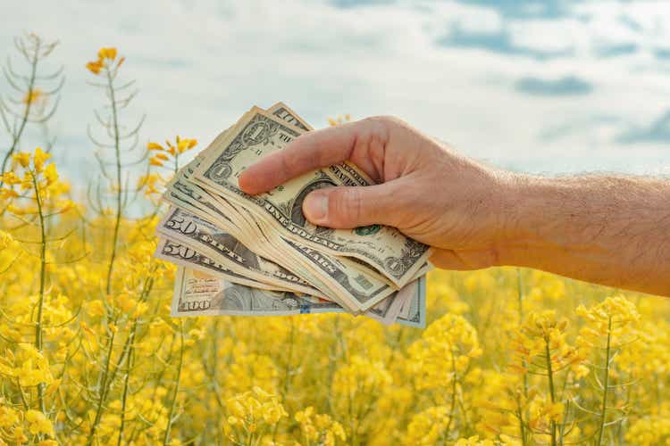 Yield and profit of canola rapeseed growth
