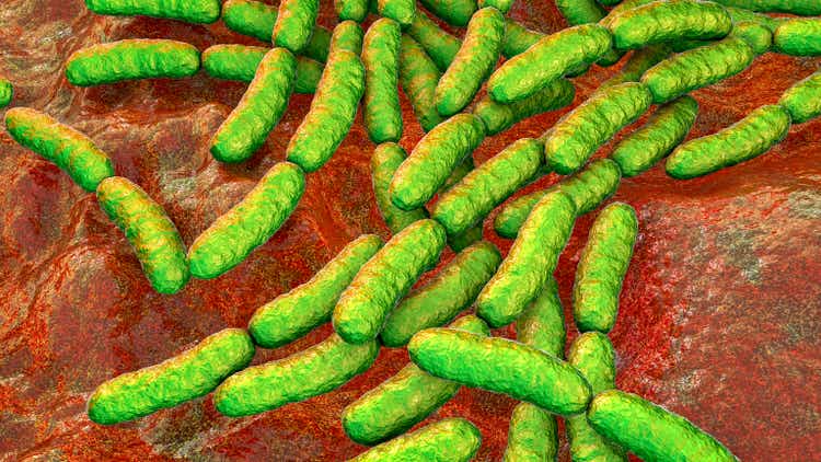 Probiotic bacteria Lactobacillus