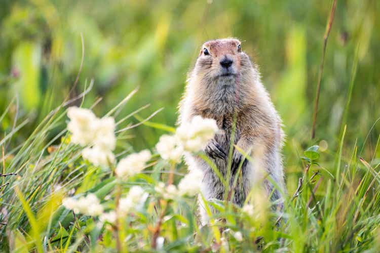 groundhog day set back to the future