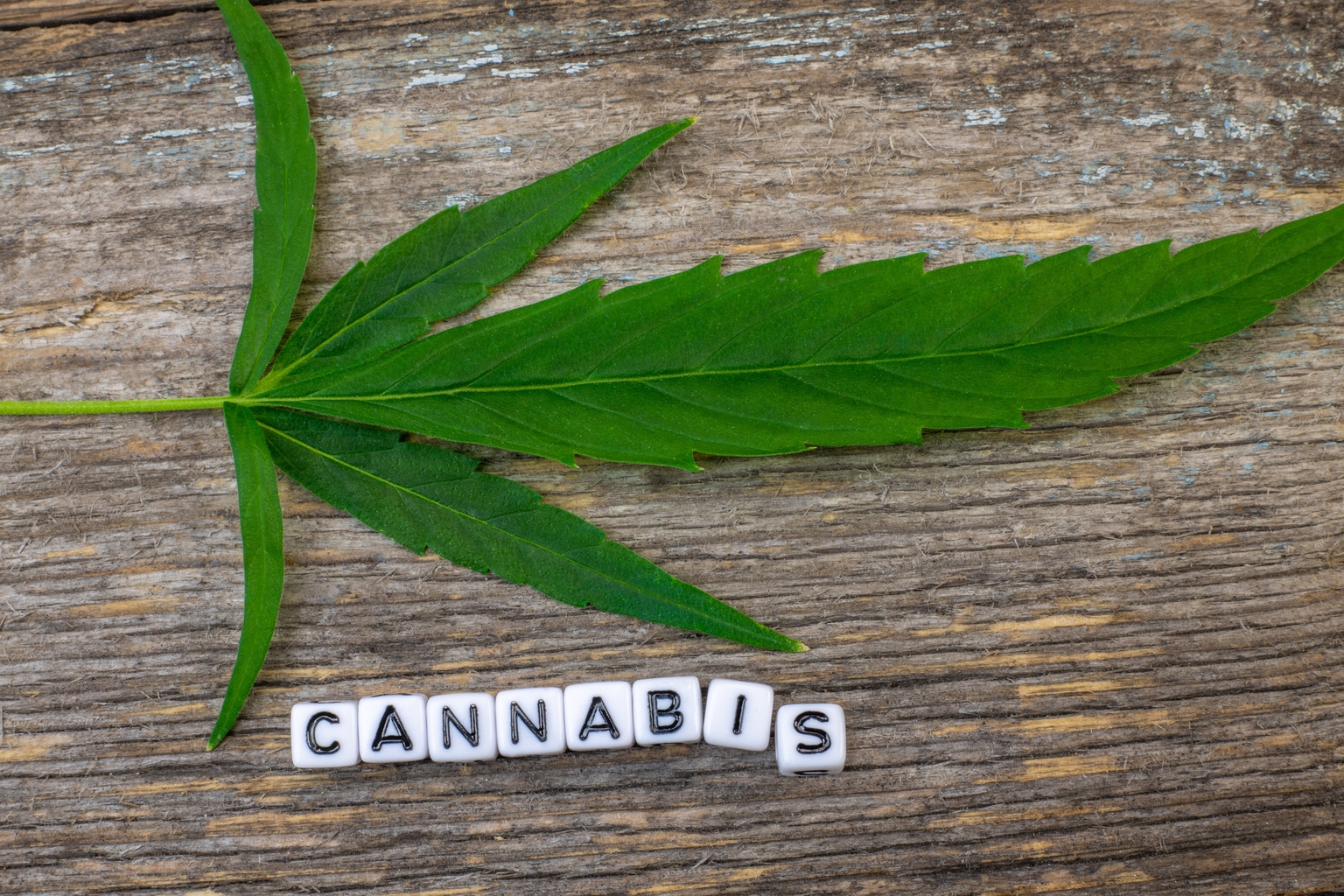 Wall Street Lunch: Cannabis Stocks Fly High On DEA Rescheduling Move news thumbnail