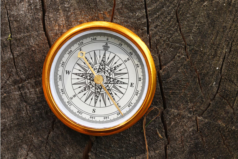 Classic compass on natural background
