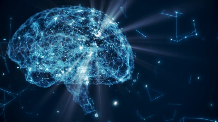 Brain model with neuron and receptor
