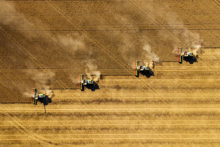 Ernte in der Landwirtschaft Crop Field.