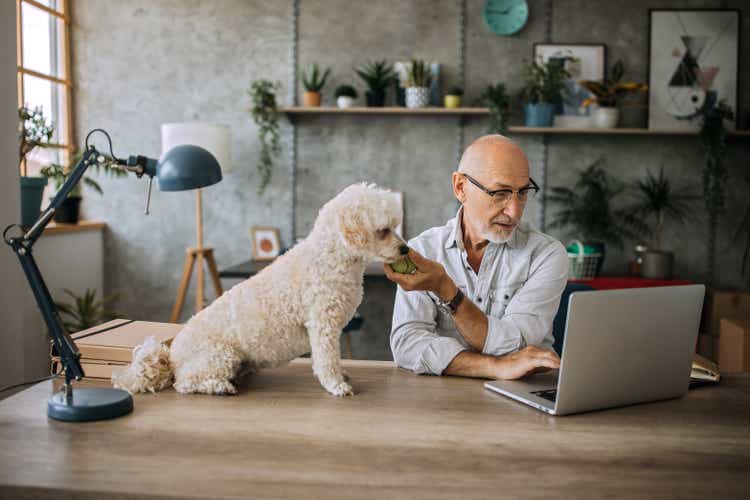 Senior man having fun with his dog in his home office