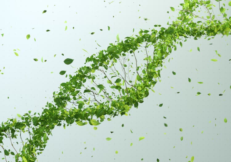 Green DNA