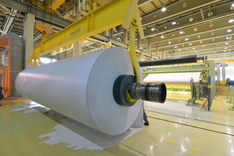  production of paper rolls for the printing industry - paper rolls in a factory