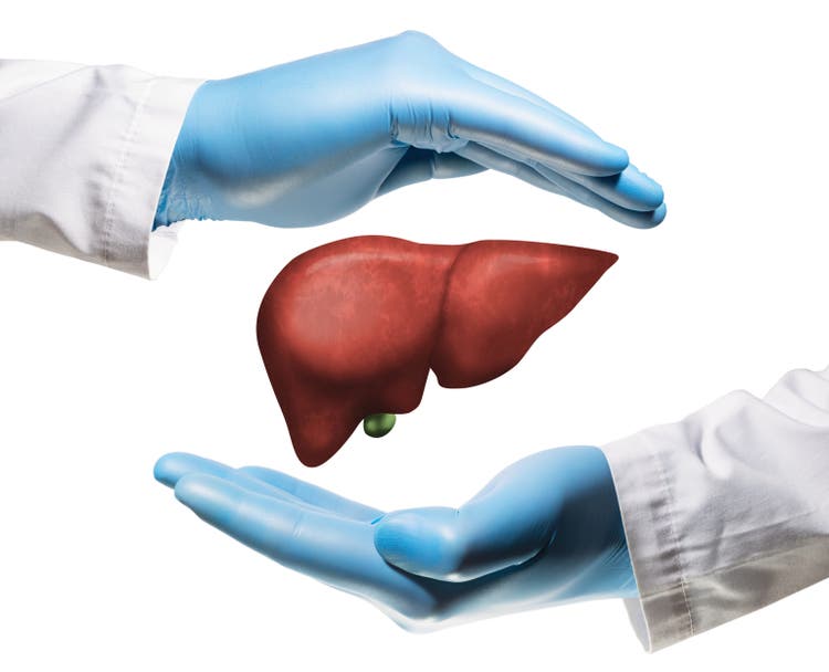Concept of a healthy liver. Isolated on white.
