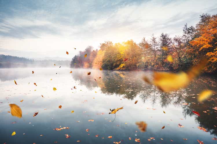 Flying Autumn Leaves