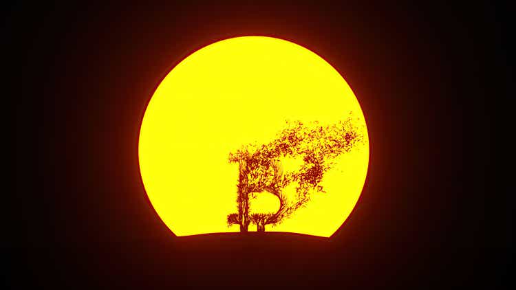 Silhouette of growing tree in a shape of a bitcoin sign. Eco Concept.