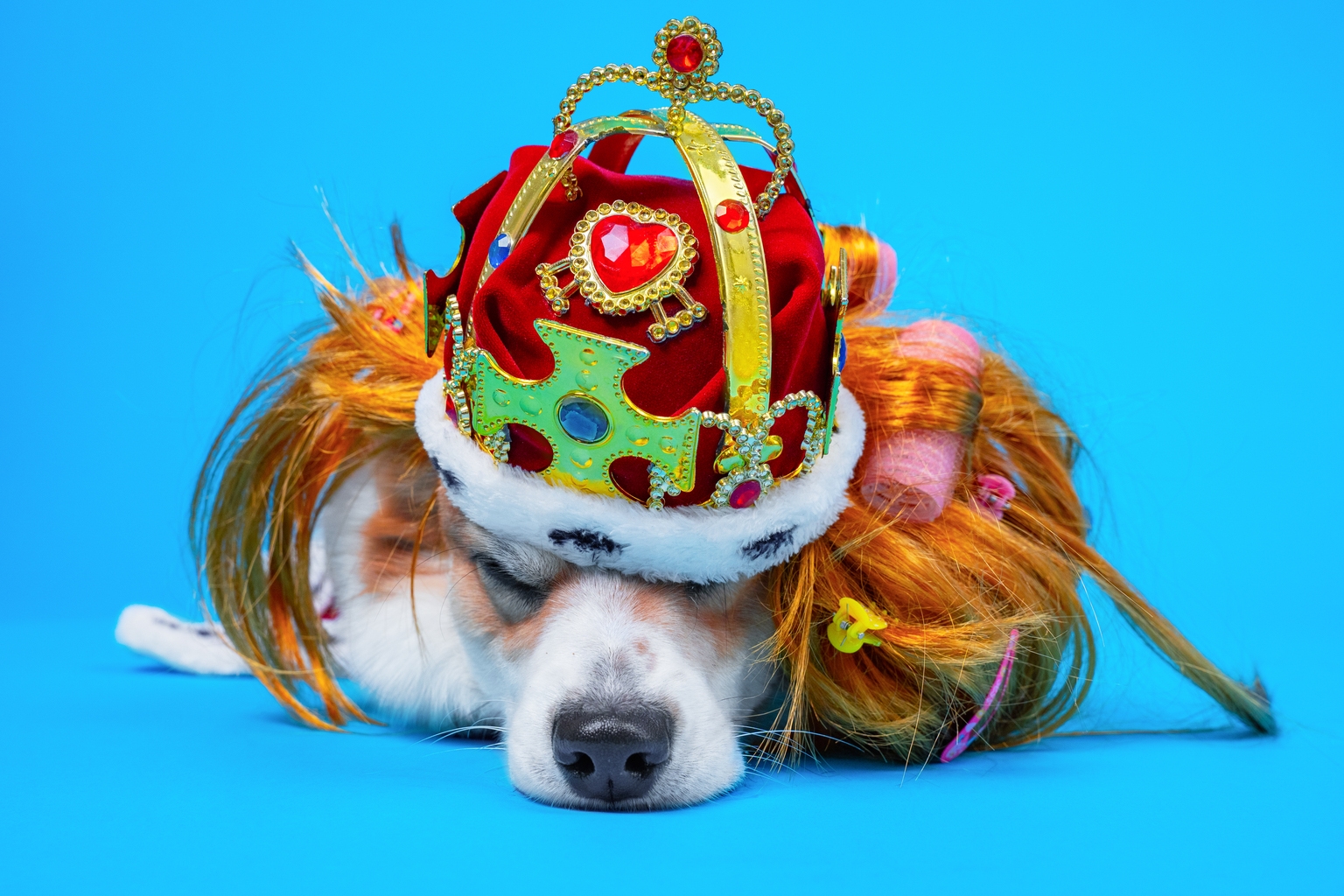 Diversified Royalty: 8.4% Yielder After The 10% Dividend Hike