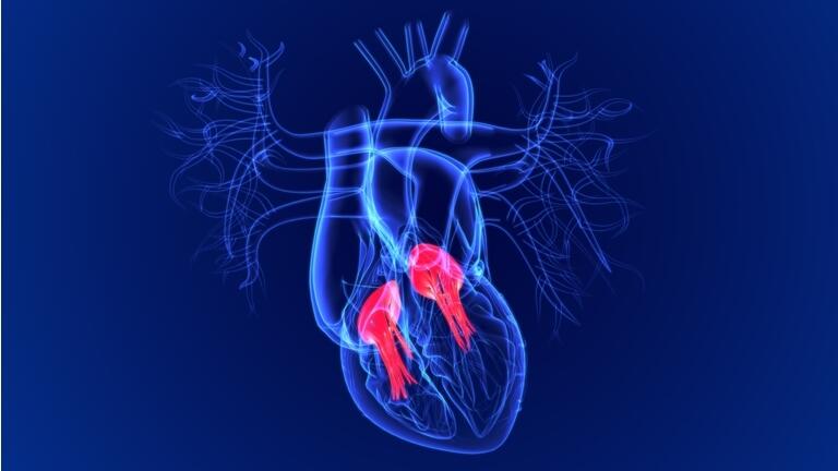 Edwards Lifesciences: TAVR And TMTT Strengths Key Growth Levers