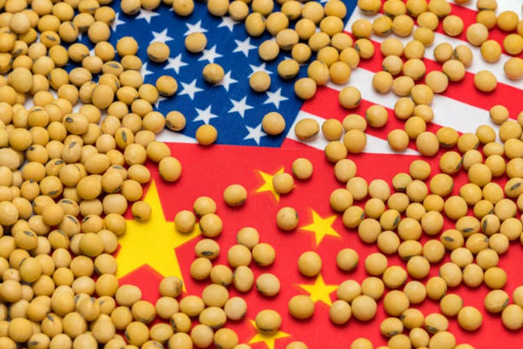 Flags of China and United States of America covered in soybeans. Concept of Chinese and American agricultural imports, exports, trade agreement, trade war, tariffs, production and commodity markets