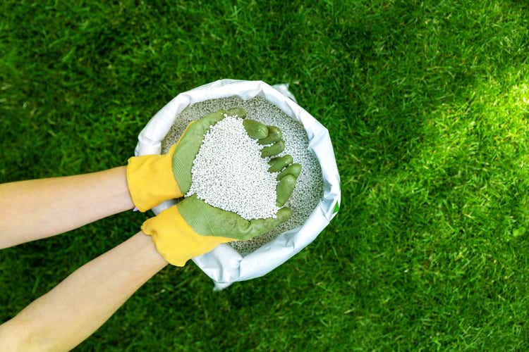 Feed the lawn with granular fertilizer to get the perfect green lawn