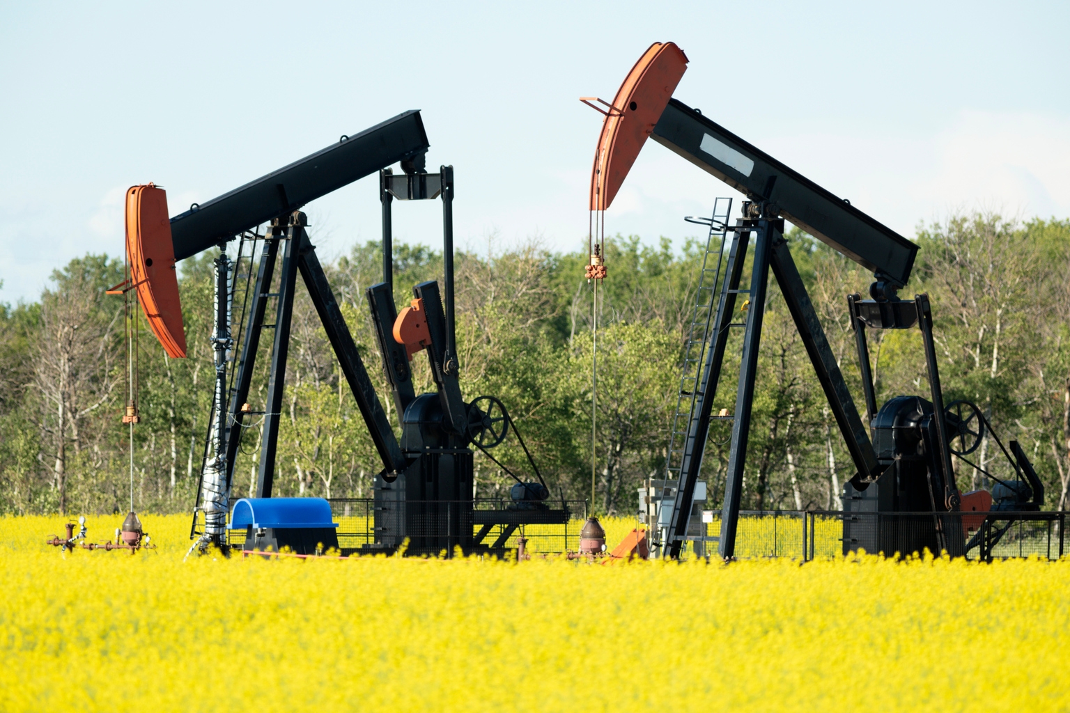 Surge Energy Implies Doubling The Shareholder Rewards By Next Summer Seeking Alpha