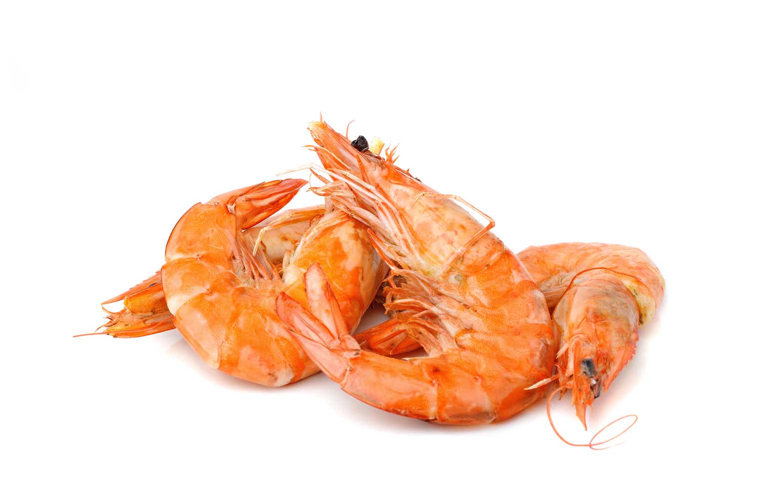 naturalshrimp-stock-looking-overvalued-otcmkts-shmp-seeking-alpha