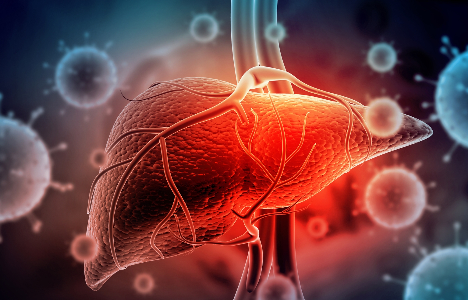 Akero Therapeutics’ EFX Data Warrants Caution (NASDAQ:AKRO) Akero Therapeutics’ EFX Data Warrants Caution (NASDAQ:AKRO)