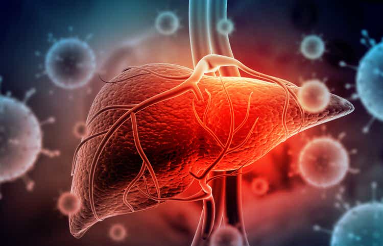 Hepatitis virus with human liver