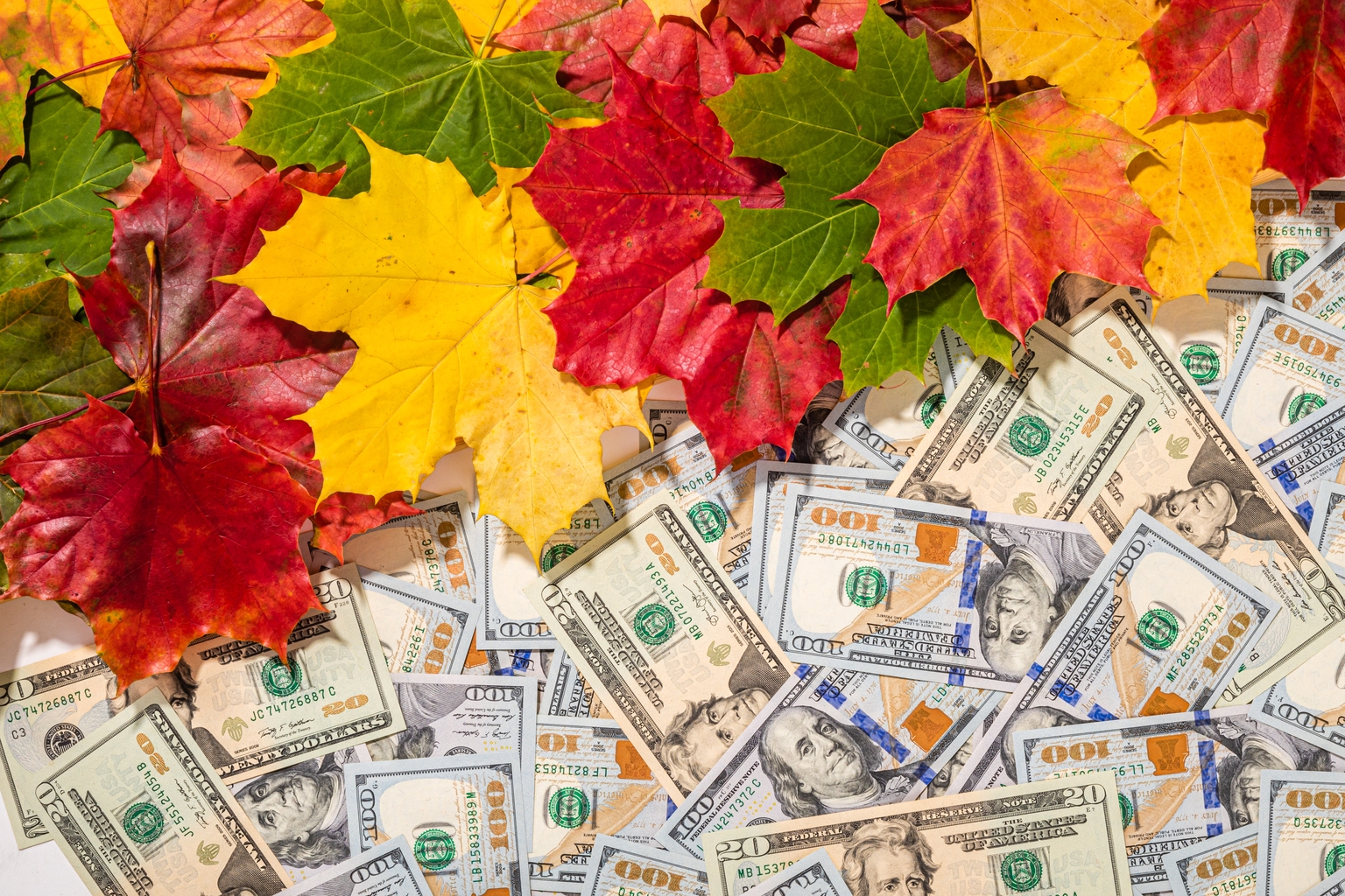 17 Upcoming Dividend Increases