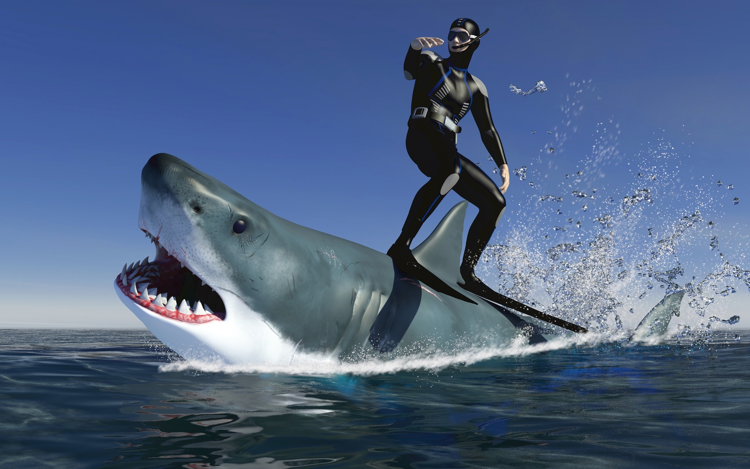 Shark Ninja Is An Excellent Long-Term Investment