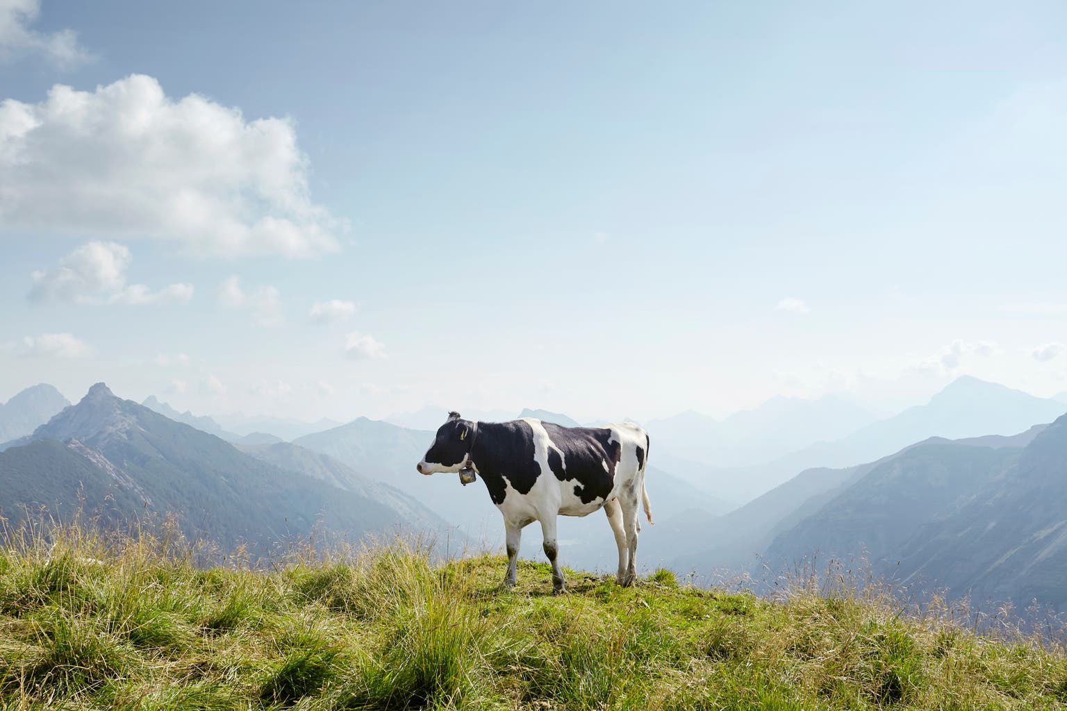 COWZ ETF: Make investments In Low-cost Money Cows (BATS:COWZ)