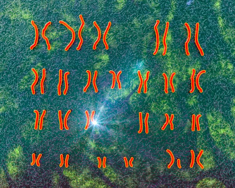 Karyotype of Prader-Willi syndrome