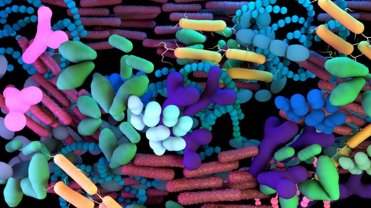 The human Microbiome, genetic material of all the microbes that live on and inside the human body.