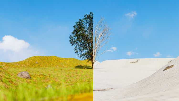Split screen of a tree in summer and winter showing the season change