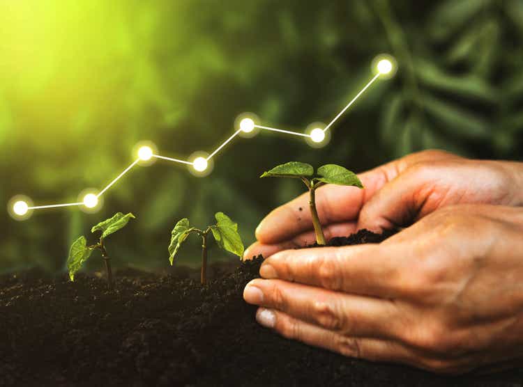 Konzept von Geschäftswachstum, Gewinn, Entwicklung und Erfolg. Handpflanzung Sämling wachsenden Schritt im Garten mit Sonnenschein