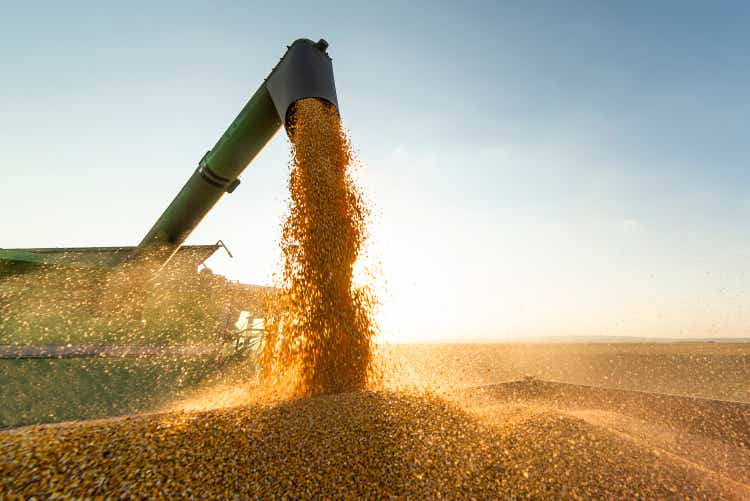 Grain auger or combine pouring soy bean into tractor trailer