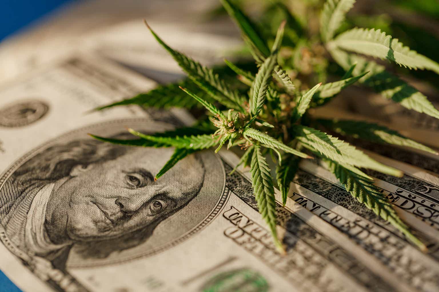 Aurora Cannabis Stock: Barely Surviving Or Soon To Be Thriving? (NASDAQ:ACB)