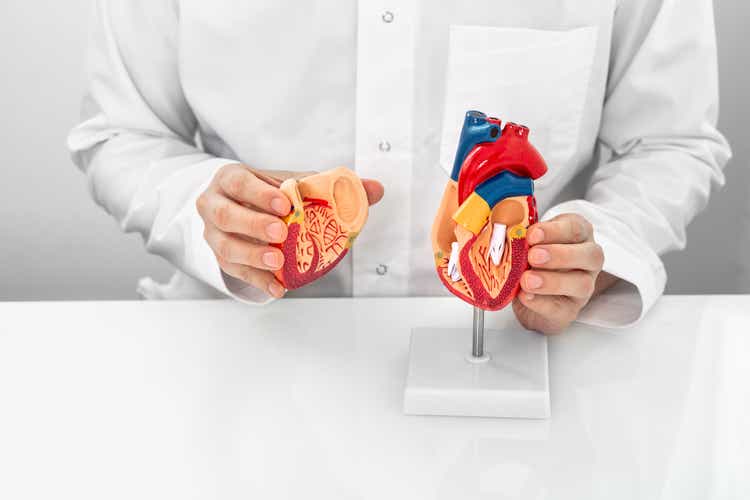 Konzept des Berufskardiologen, Weltherztag. Kardiologe trägt einen medizinischen Mantel mit einem herzanatomischen Modell und Herzphysiologie