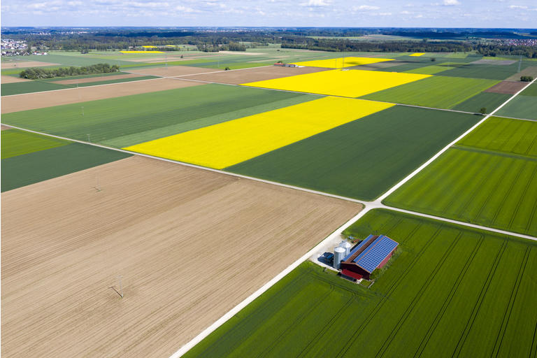 Agricultural Landscape with Farm Barn, Aerial View