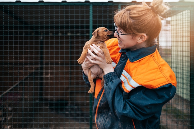 Young woman in animal shelter