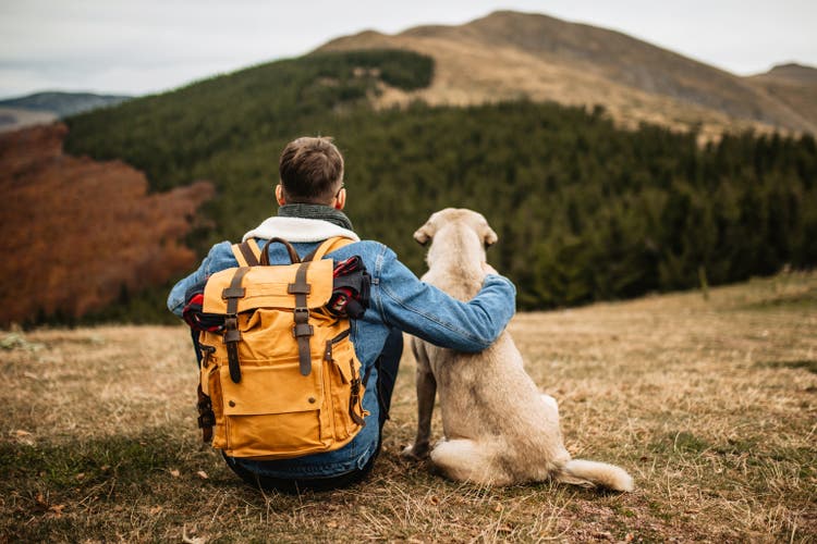 Hiker with backpack and his dog resting on mountain