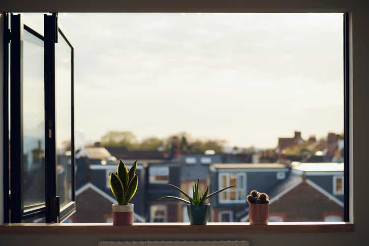 Three house plants on window sill in summer