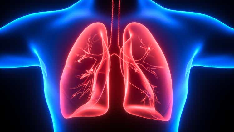 3D illustration of Lungs, medical concept