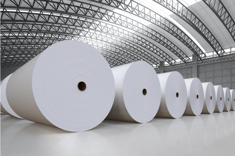 Suzano's Languishing Puts It On The Value Investor's Hotlist