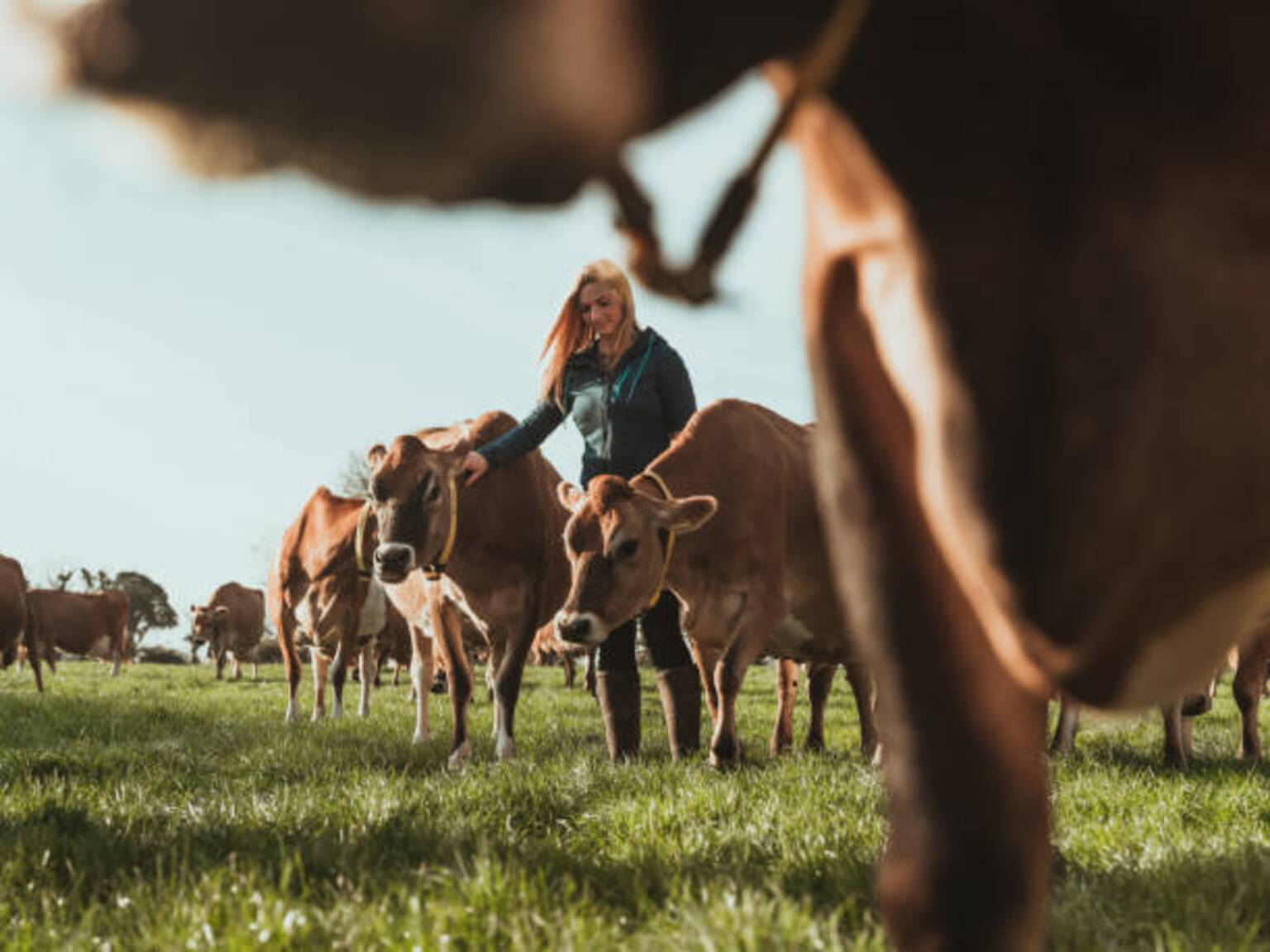 seekingalpha.com - Rob Williams - Farm aid set to reach record as Washington deepens support for rural economy (S_1:COM:Commodity)