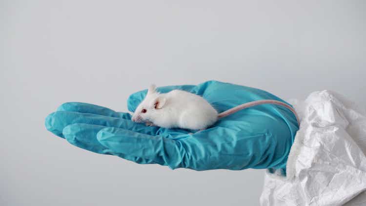 Inotiv Stock: Financial Turnaround Overshadowed By Animal Testing ...