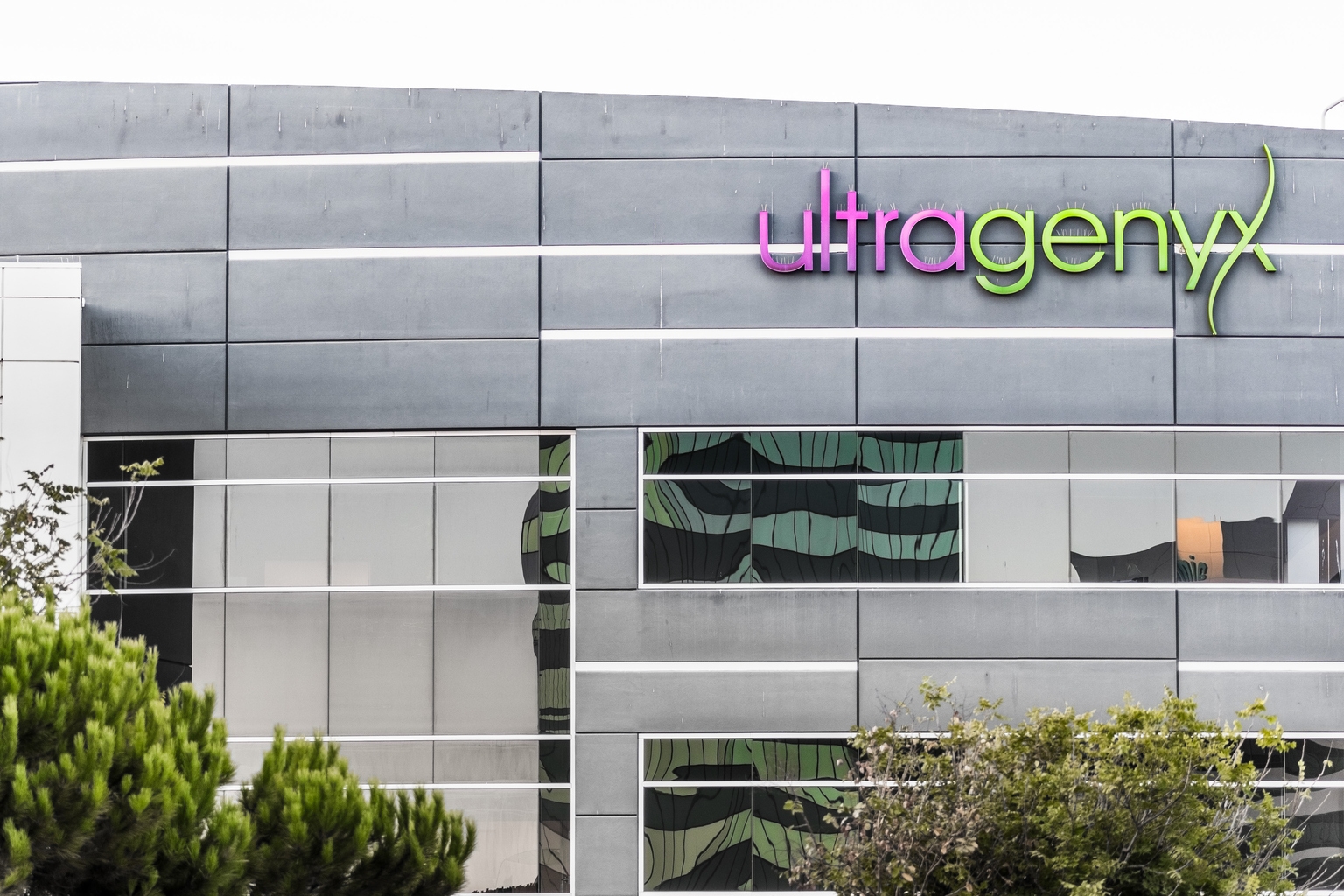 Ultragenyx Shares Sink After Angelman Syndrome Drug Trial Fails