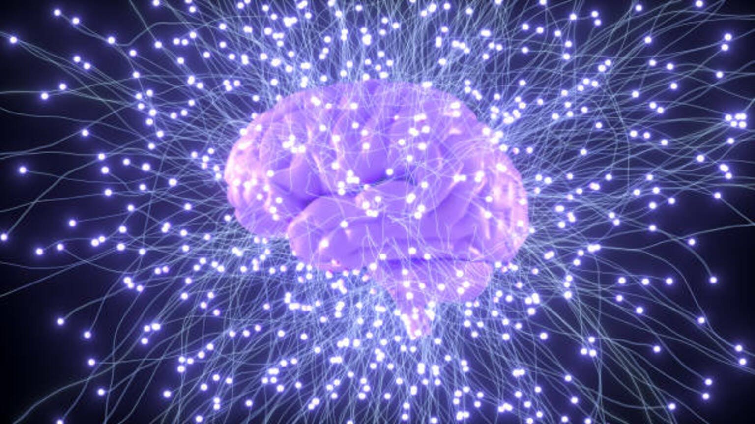 AI Killed The Internet Star But Wiley Offers A Pure Data Hoard