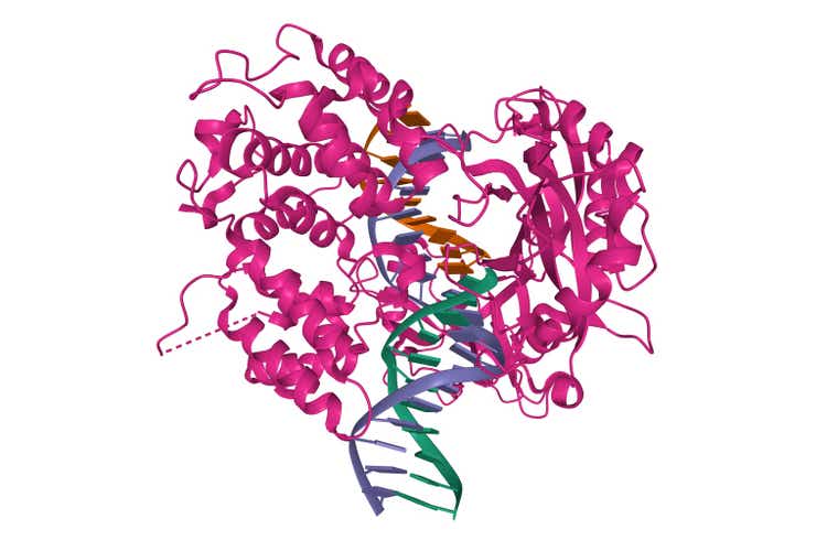 Crystal structure of human DNA ligase I bound to 5"-adenylated, nicked DNA