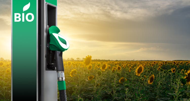 Biofuel filling station