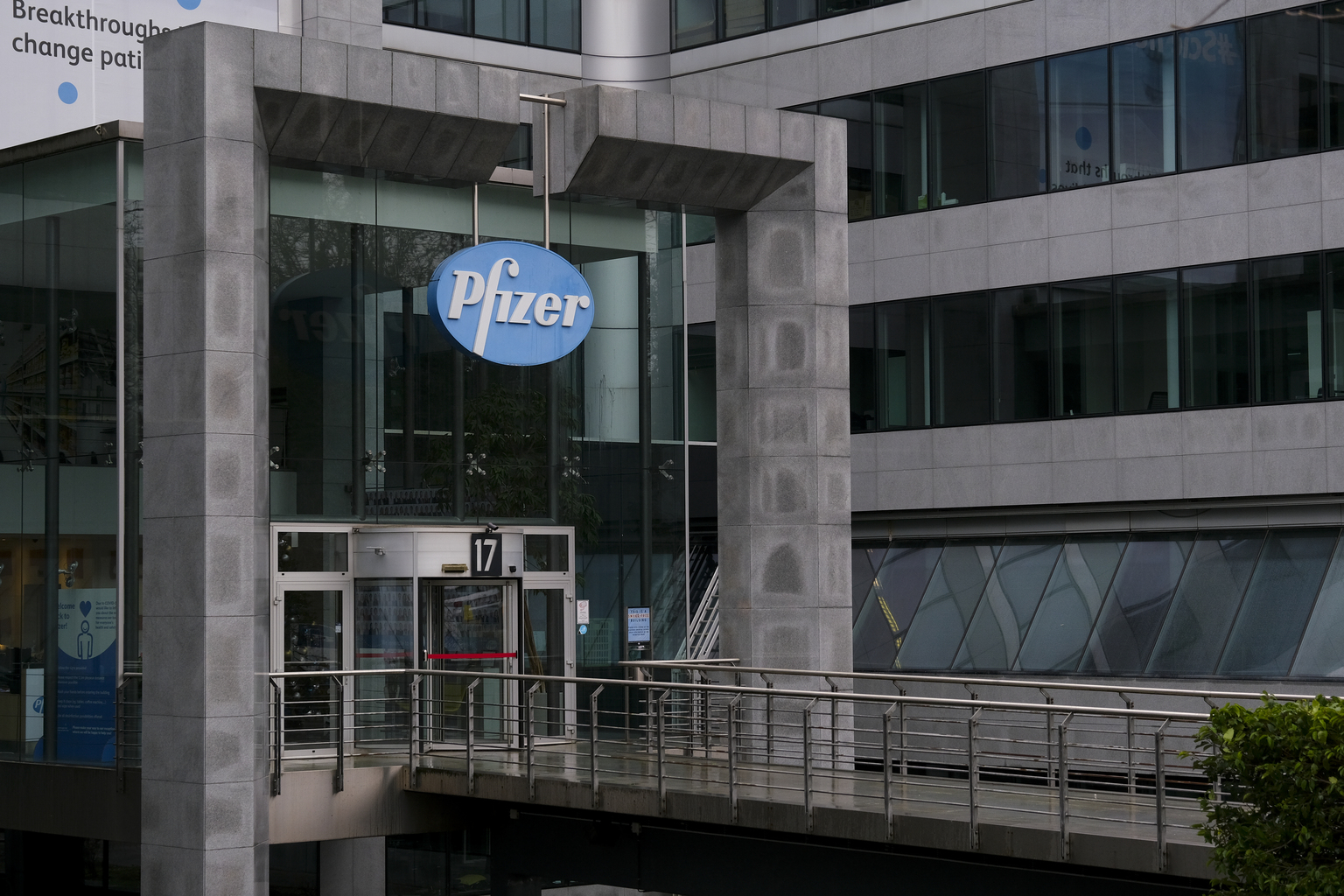 Pfizer's Blood Cancer Drug Elrexfio Backed For Conditional Approval In ...