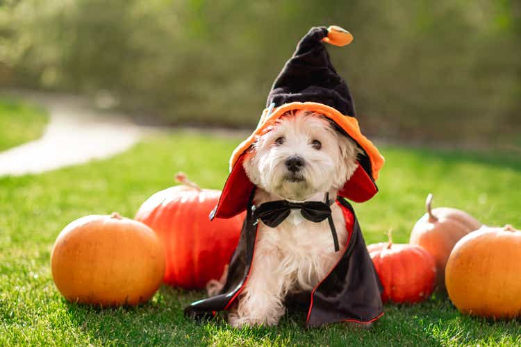 Buy 9 Harvest-Time October Dividend Dogs