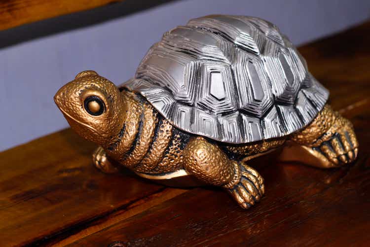 piggy Bank turtle on a wooden table